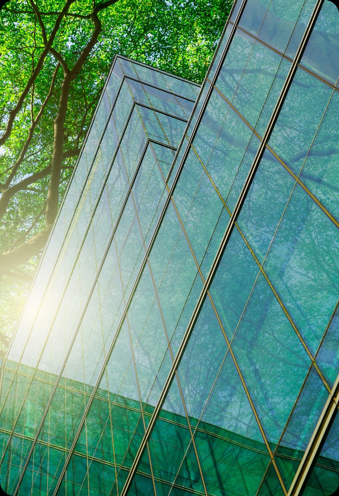 Empresas con Asesoría ESG