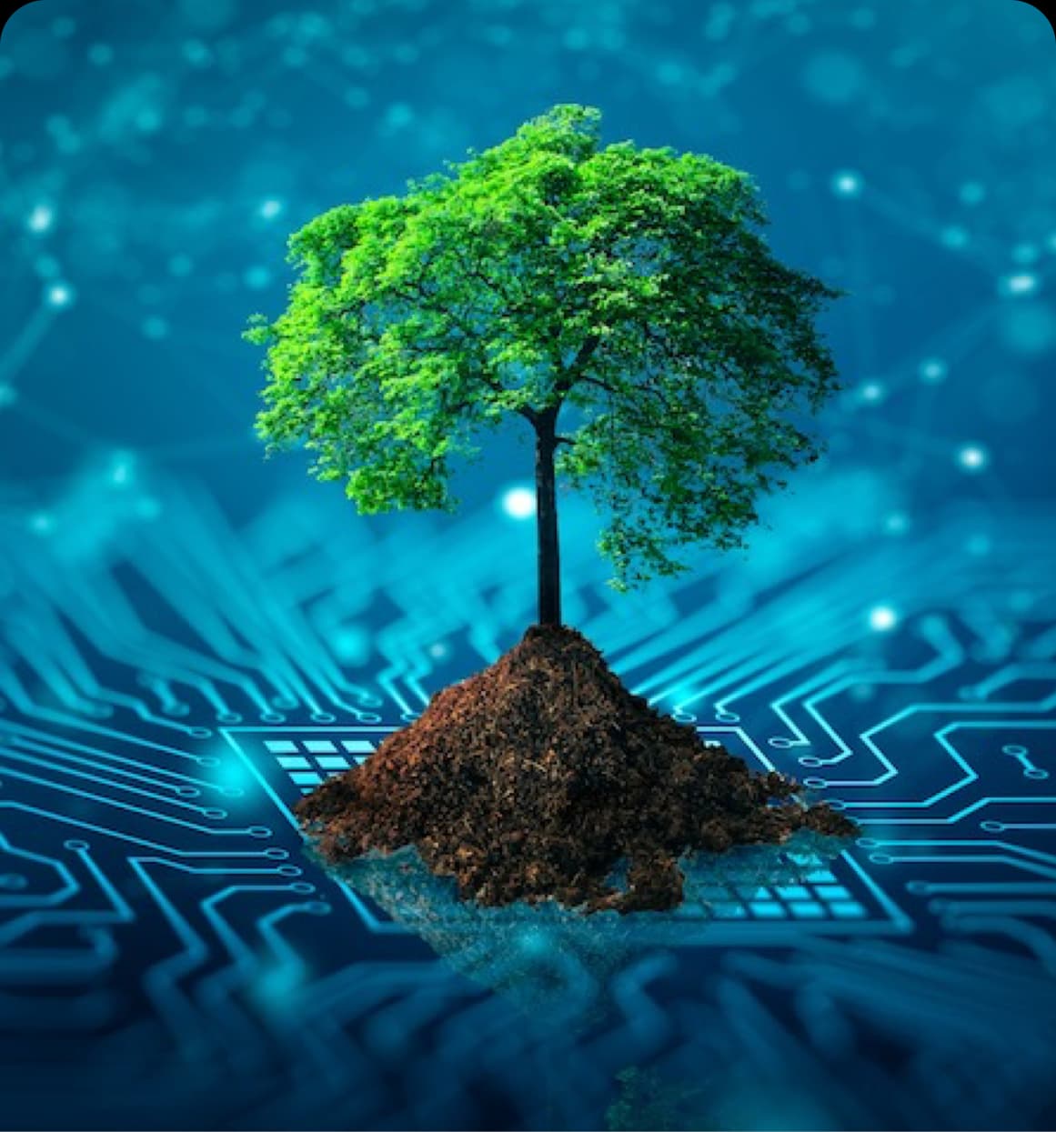 Arte digital, arbol con un circuito de fondo, simbolizando la eficiencia energetica