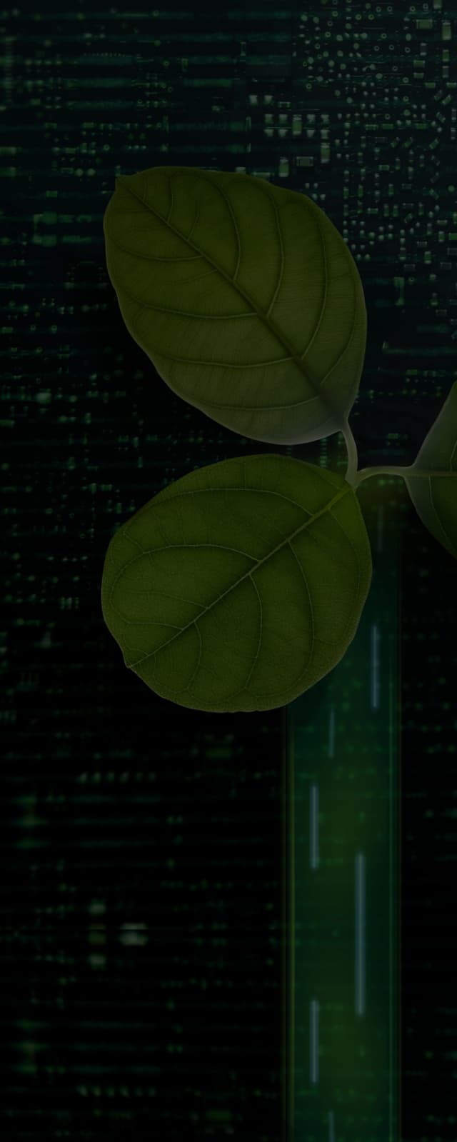Arbol de tres hojas floreciendo sobre un fondo de un componente electrónico, representando la sostenibilidad de los criterios ESG mediante estrategias tenológicas