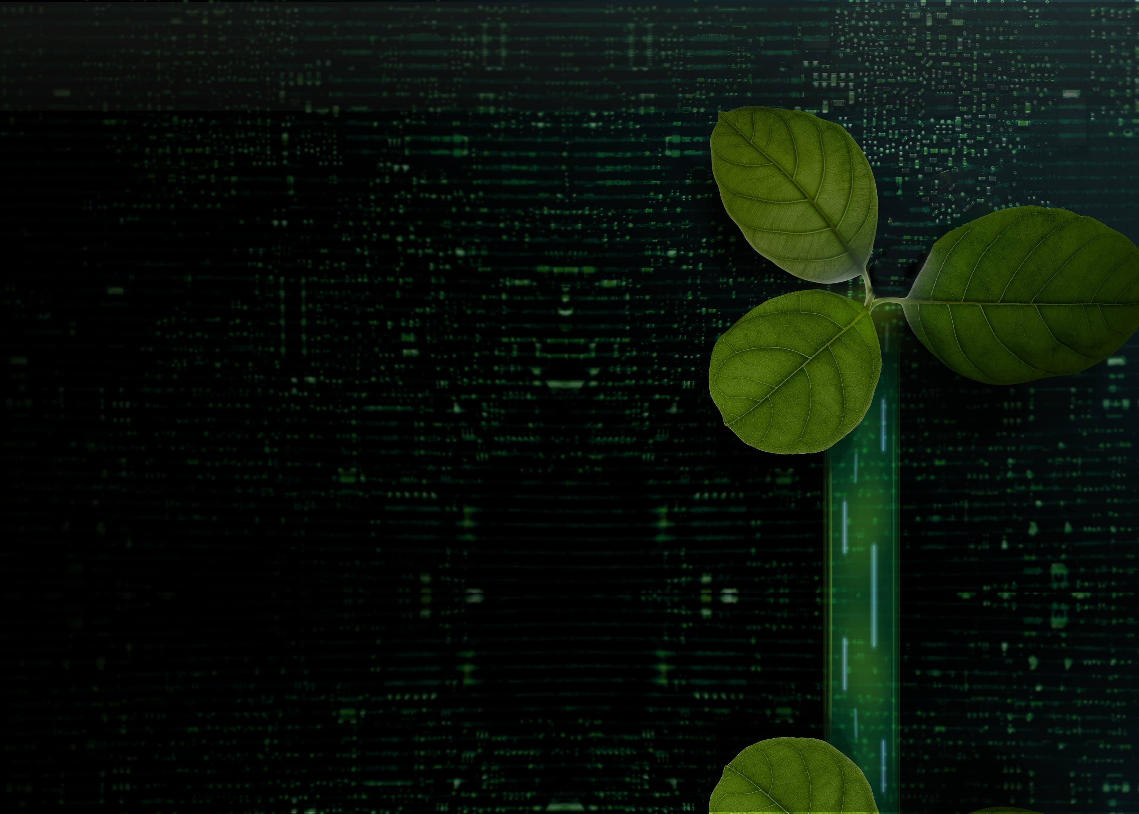 Arbol de tres hojas floreciendo sobre un fondo de un componente electrónico, representando la sostenibilidad de los criterios ESG mediante estrategias tenológicas